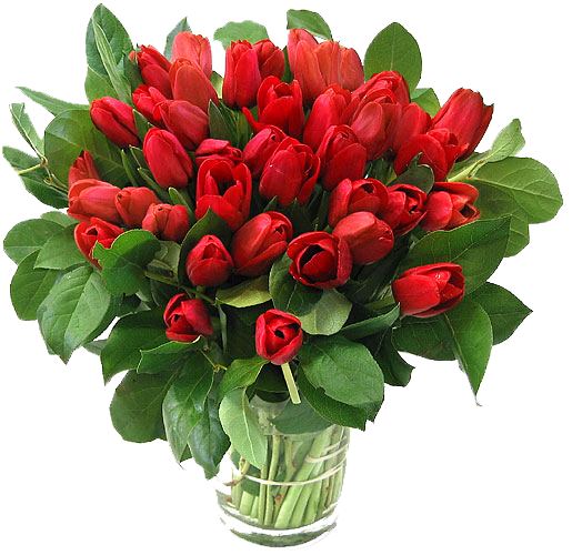 http://viola-ekb.ru/tulips/tulips.png